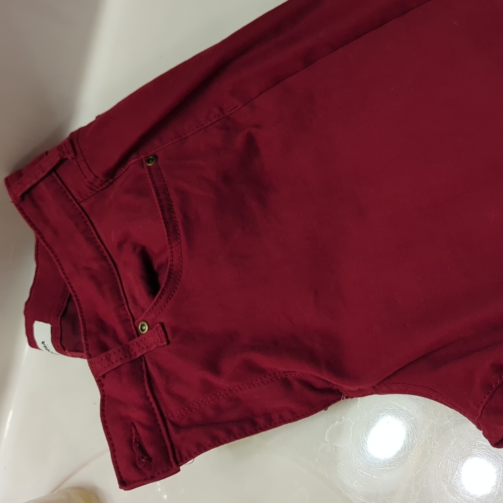 ⭐5/$25-Crimson red pants
